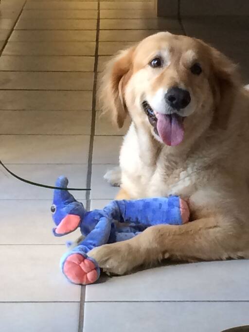 Luna