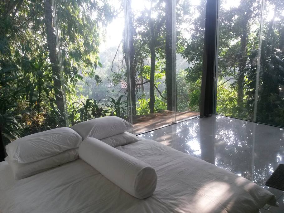 Gadhog Glass Houses For Rent In Ciawi Gadhog Glass Houses For Rent In Ciawi
