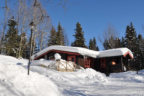 Brattland Ski Lodge Åre. Wood-fired sauna, fireplace