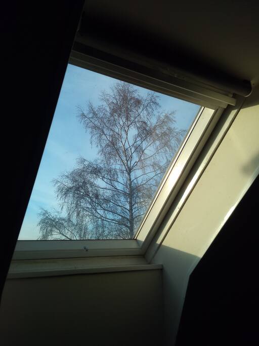 this will be perfect when northern lights come out