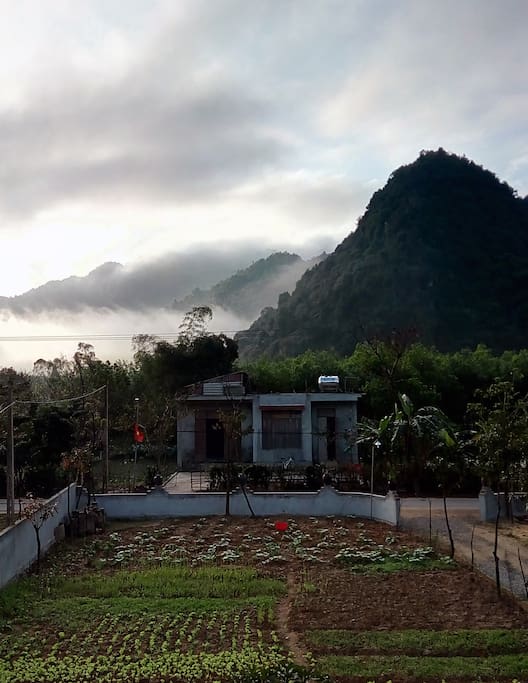 Morning garden, village and mountain view