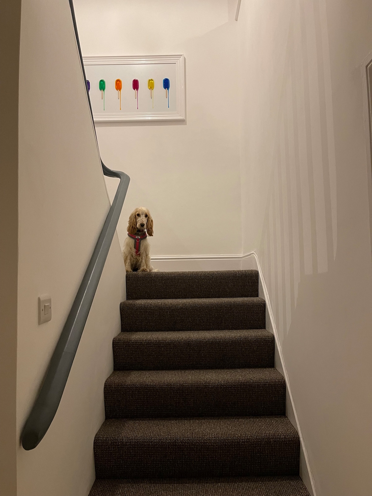 A well-lit staircase features a soft carpet and a handrail for stability. At the top of the stairs, a dog sits calmly on the landing, accompanied by a colorful wall art piece that displays various paintbrushes.