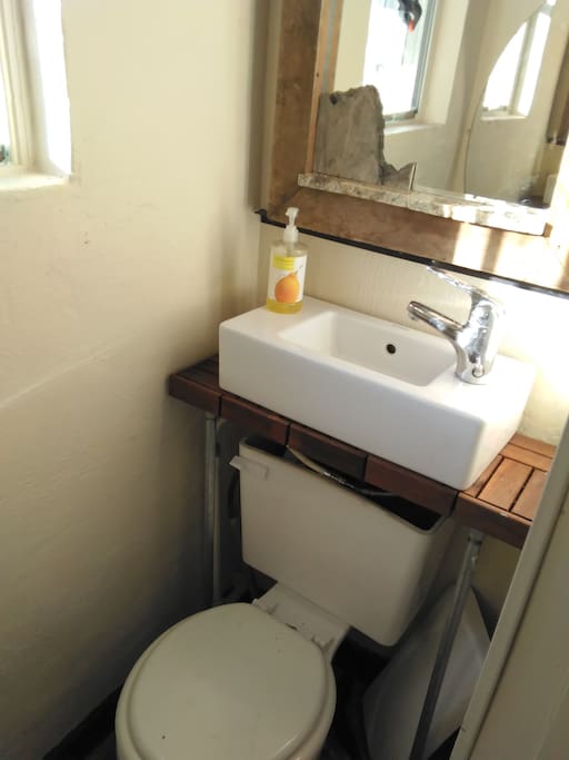 Toilet and Sink