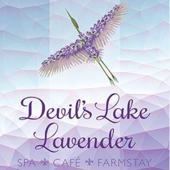 THE LAVENDER CRANE REPRESENTS THE BEAUTY YOU'LL FIND IN THE DRIFTLESS AREA AND ONE OF THE FEW DARK SKY AREAS LEFT
