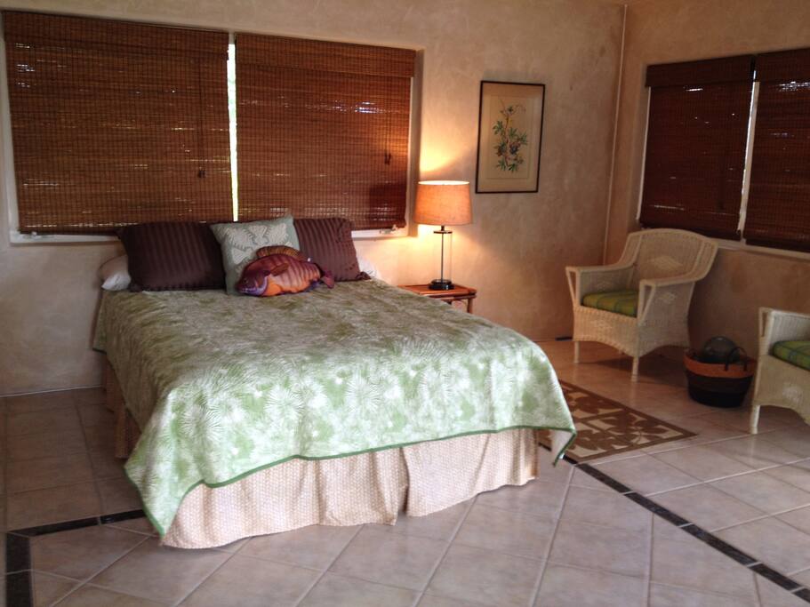 Downstairs bedroom