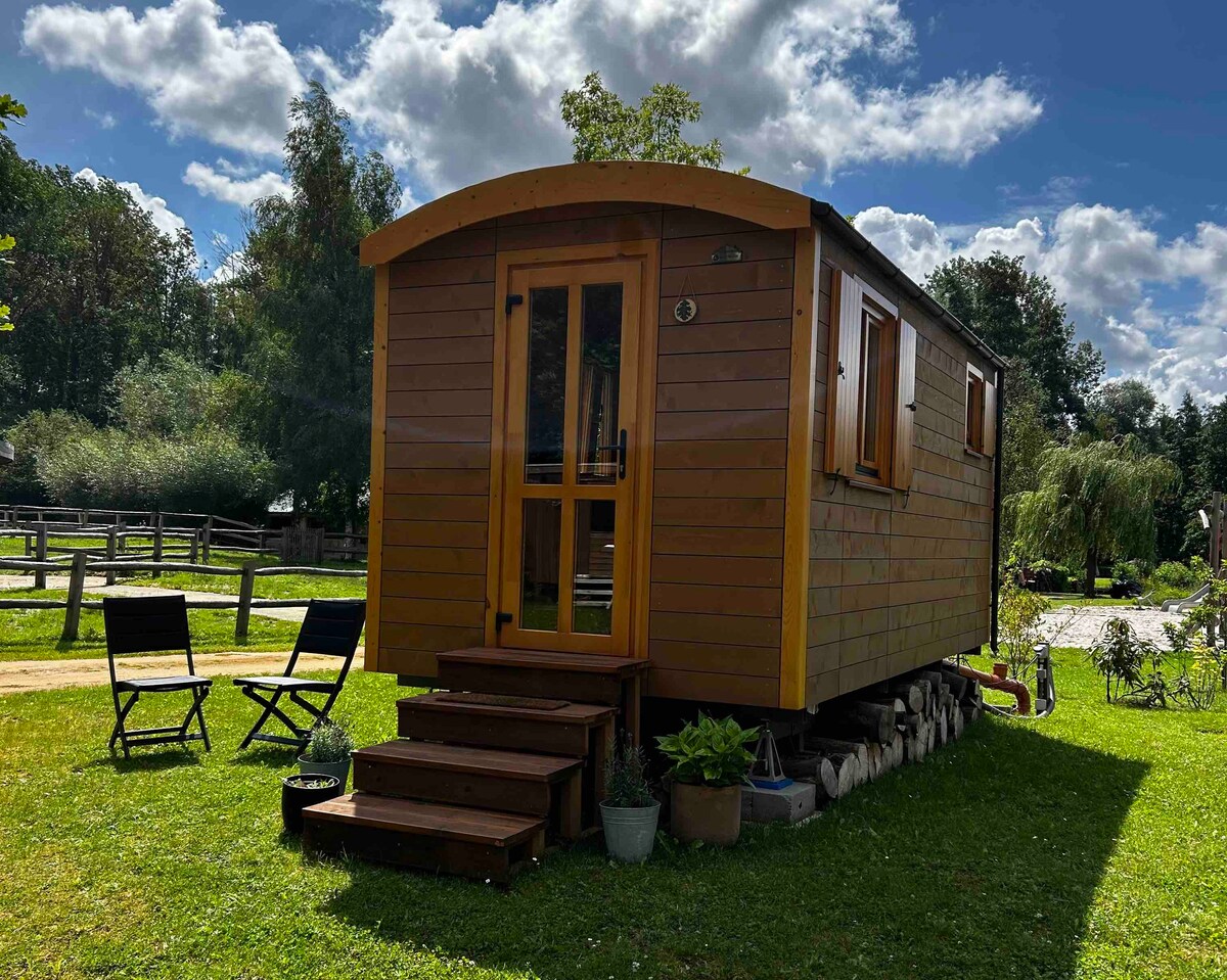 A charming tiny cabin is set against a backdrop of green grass and trees. Wooden stairs lead up to a glass front door, framed by large windows. Two minimalist chairs are positioned nearby, creating an inviting outdoor space for relaxation.