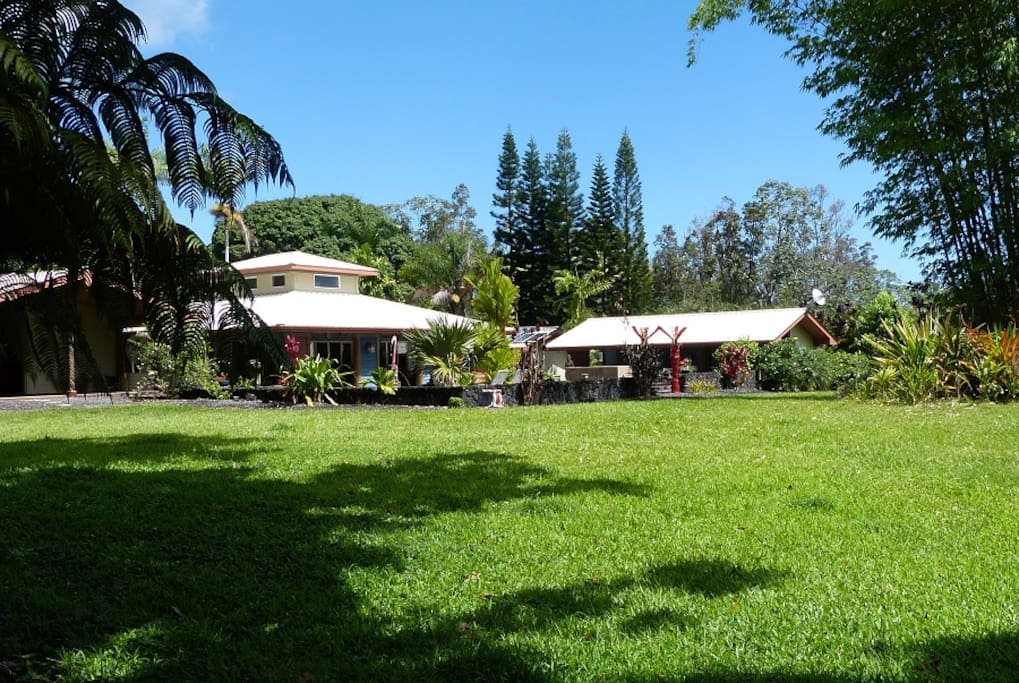 Mangolay, a Garden of Eden in Puna Guesthouses for Rent in Pāhoa
