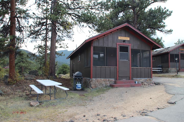 Americana Cabin W 1 Queen 1 Double Cabins For Rent In Estes