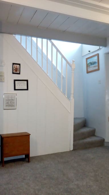 Soft grey carpeting. Grey is the new beige I believe.