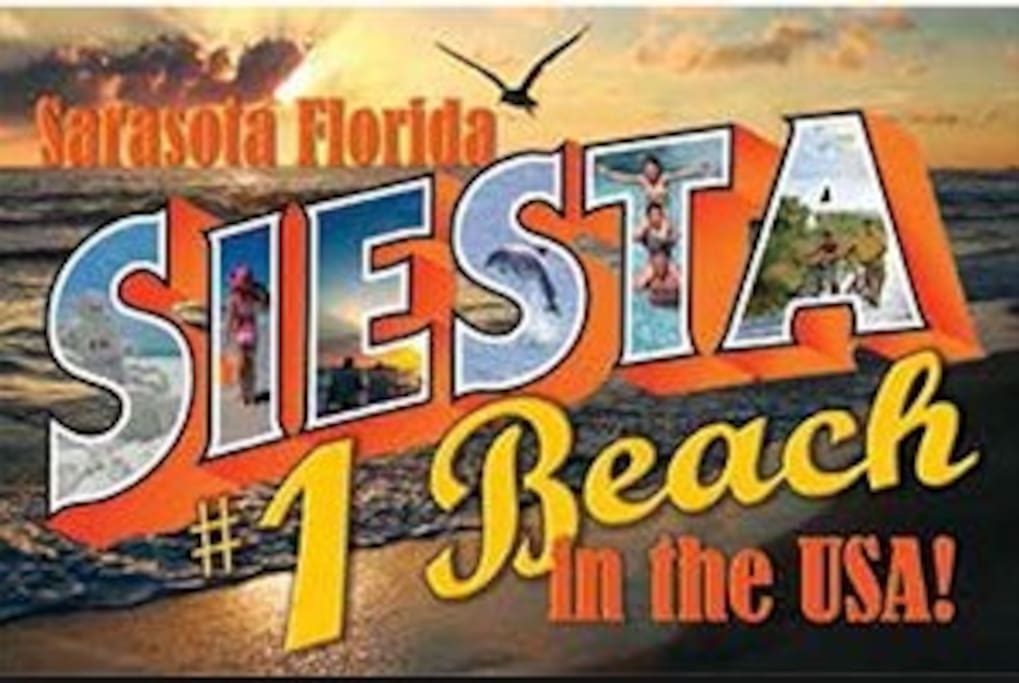 We are the best location on Siesta Key! Right on the beach between the public beach and Siesta Key Village. Walking distance to all amenities! Far enough for peace and quiet.