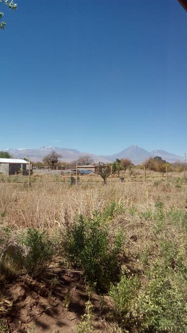 Vista desde dormitorio matrimonial