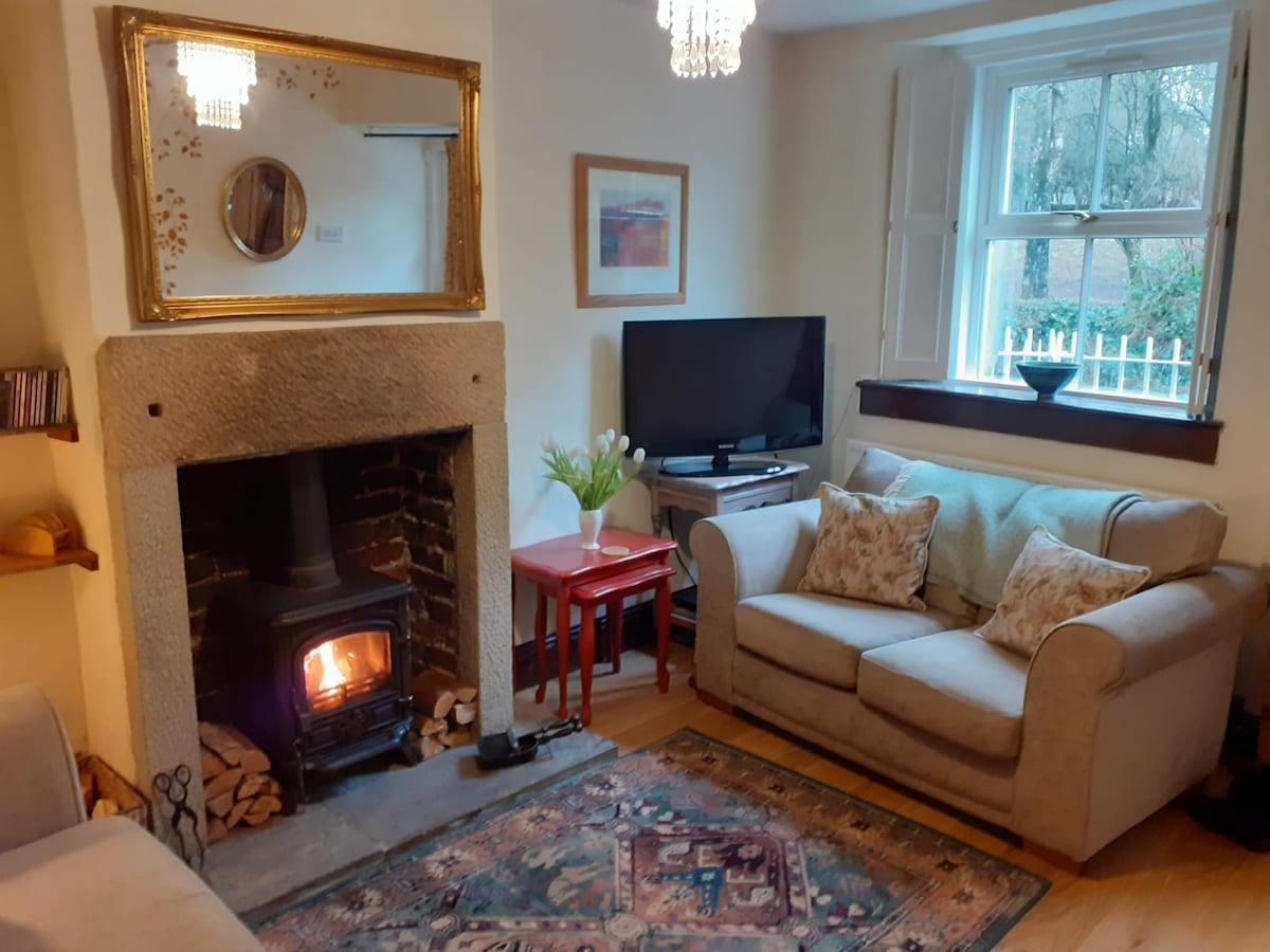 A cosy living room features a woodburner set within a stone fireplace. A large mirror above reflects light, while a television is positioned beside a small table with decorative items. A comfortable sofa with patterned cushions is complemented by a vibrant area rug and a window offering a view.