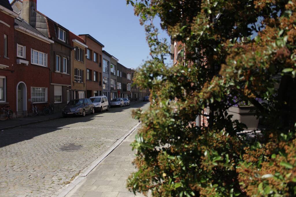Vue de la rue