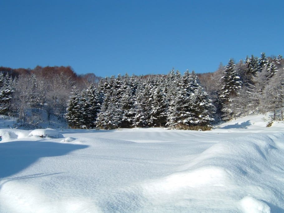 【Beautiful winter season】 Colored by flowers and vegetables in summer.