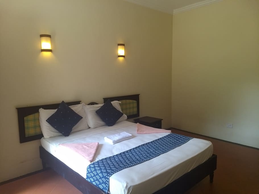Non Ac Room with Double Bed