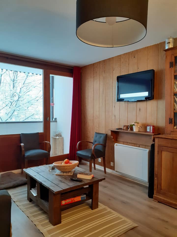 Au Pied Des Pistes, Logement De Charme Tout éQuipé - Puy-Saint-Vincent