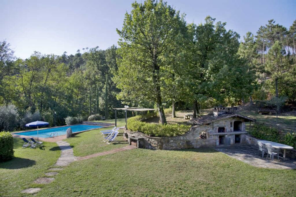 Swimming pool and garden