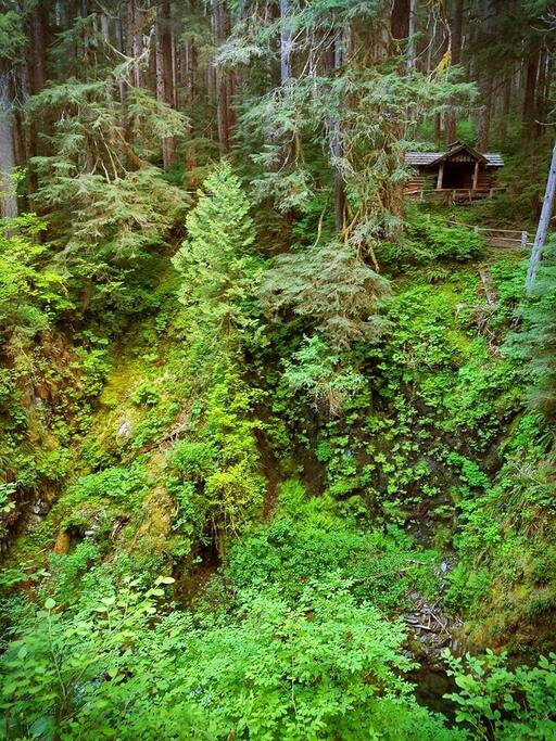 Sol duc falls the cabin is minutes away from here!