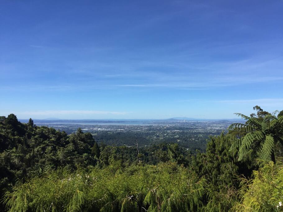 City view, taken from main house deck