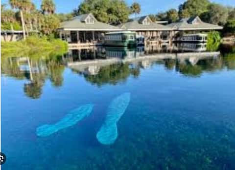 Easiest camping ever, 5 local springs