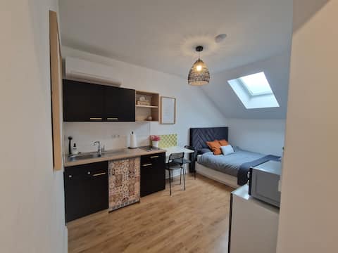 Modern apartment with own kitchen and bathroom