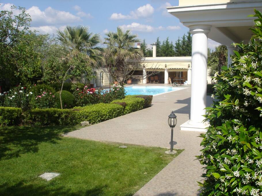 The garden