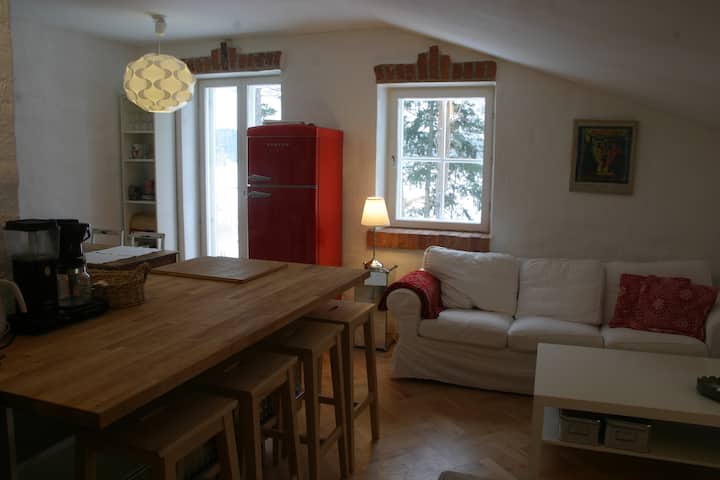 Olohuone / keittiö