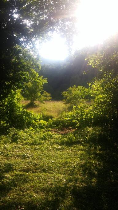 Nature pur...Einzigartig Sonnenschein