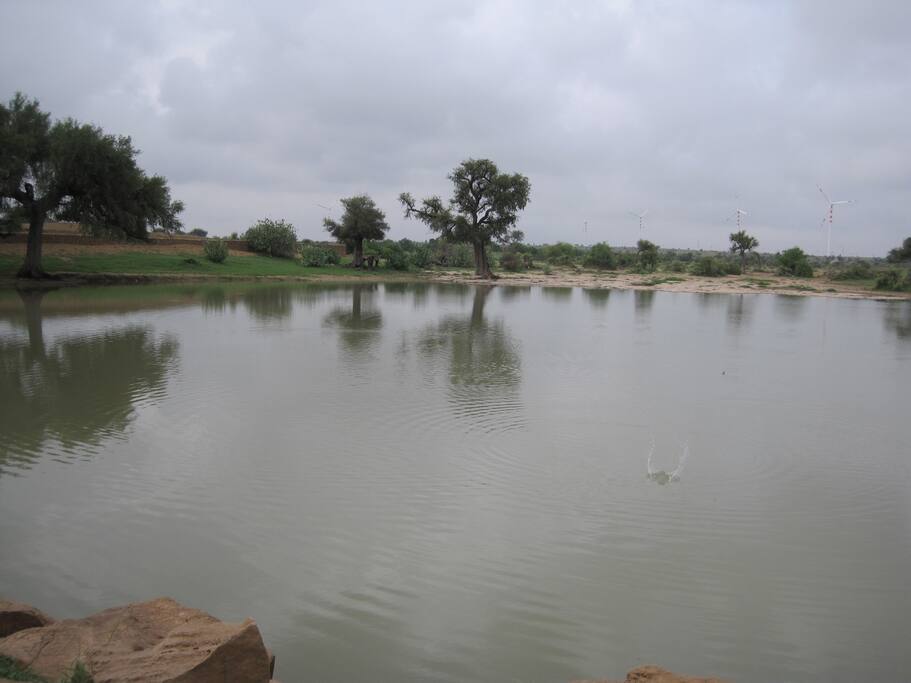 The Lake nearby my place