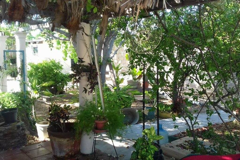 La Paz Bed And Breakfast Mexico La Paz Bed And Breakfast Mexico