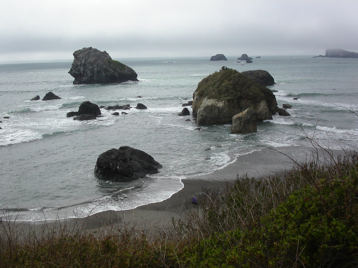A coastal scene captures various rock formations emerging from the gentle waves of a gray ocean. The shoreline is bordered by a mix of sandy and rocky textures, while a soft mist blankets the sky, hinting at a peaceful, overcast day.