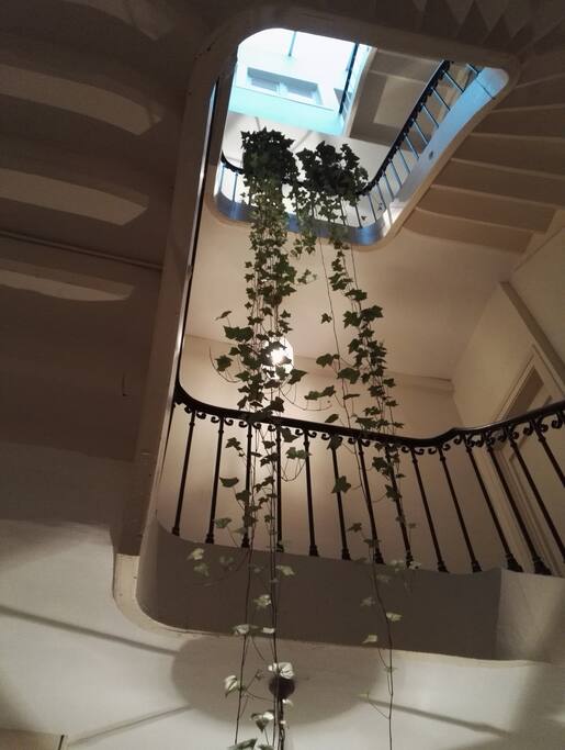 Escalier de l'immeuble.