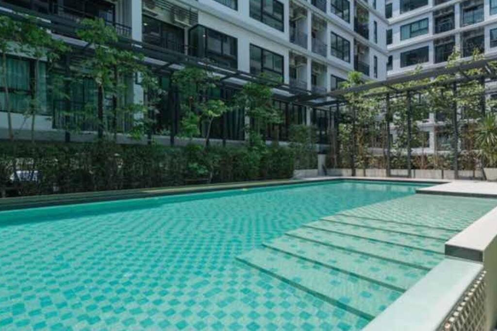 Swimming pool泳池区域