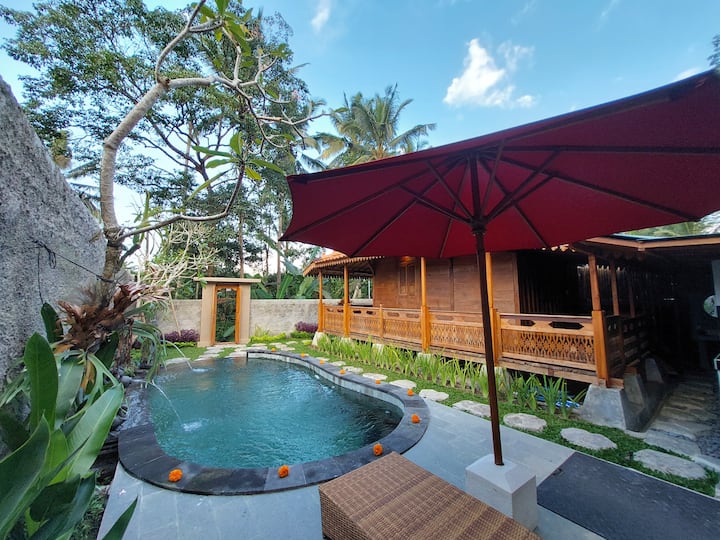 A Spacious Private Pool Villa - Ubud