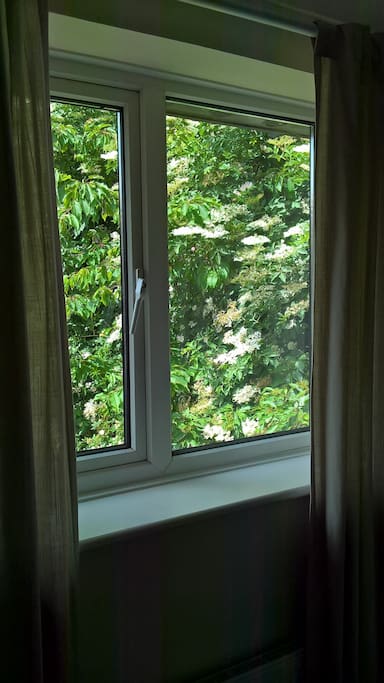 Wake up refreshed to birdsong!