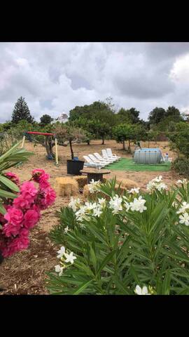 Trulli Come Una Volta con piscina gallery image 5