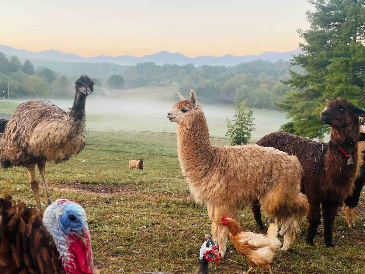 A variety of friendly animals is gathered in a lush, green pasture. Llamas and emus stand together, while chickens and a turkey roam nearby. The backdrop features soft, misty mountains under a gentle morning light, creating a serene natural setting.