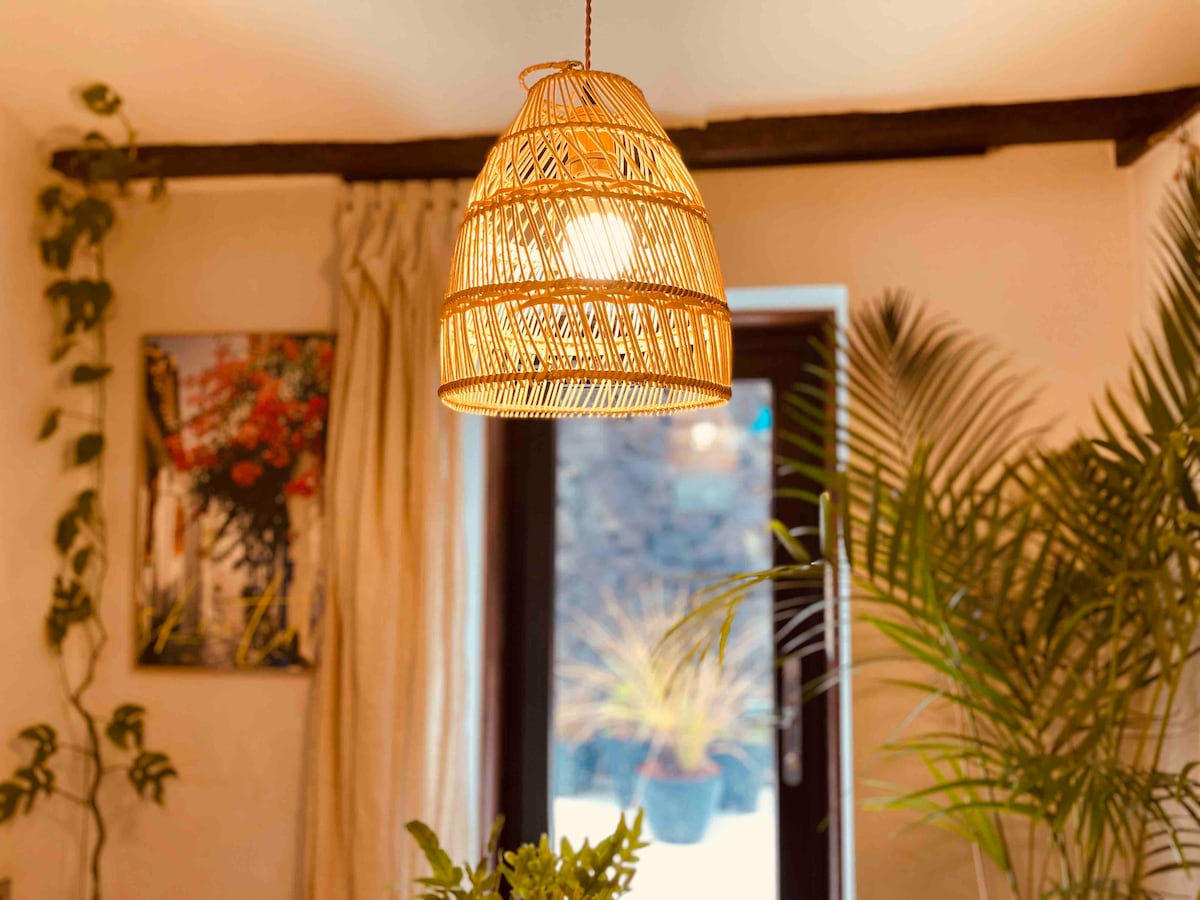 A woven pendant lamp hangs from the ceiling, providing warm light to the space. Lush green plants are positioned around the room, creating a natural feel. A window in the background offers a glimpse of the outdoor area, while decorative wall art adds a touch of color.