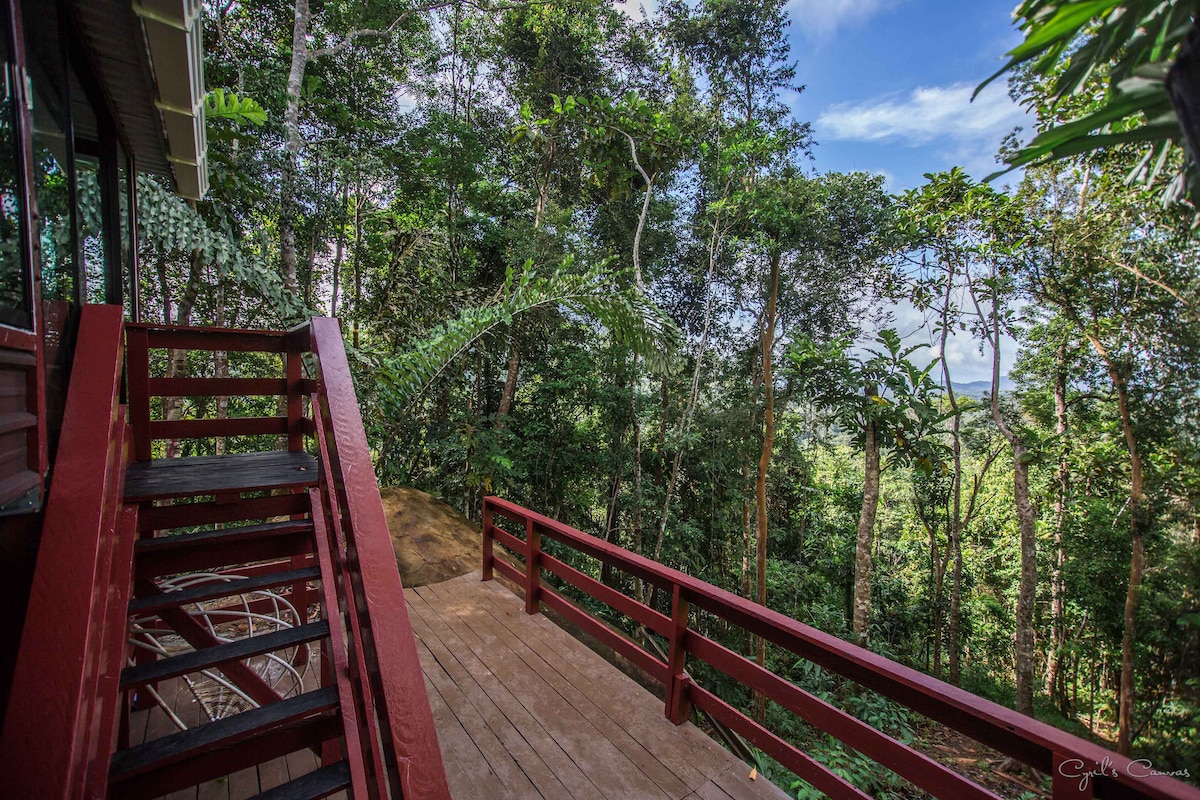 A wooden deck extends from the house, surrounded by lush greenery typical of a tropical jungle. Sturdy red railings complement the steps leading down, while the distant canopy of trees and blue sky can be seen beyond.