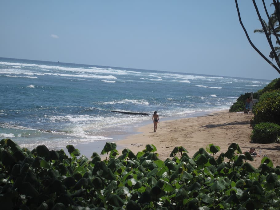 View from garden deck to sandy beach below. Private access