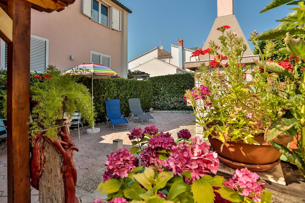 Garden behind the house