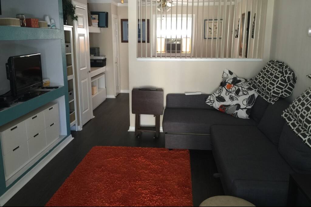 Living room with pull out couch