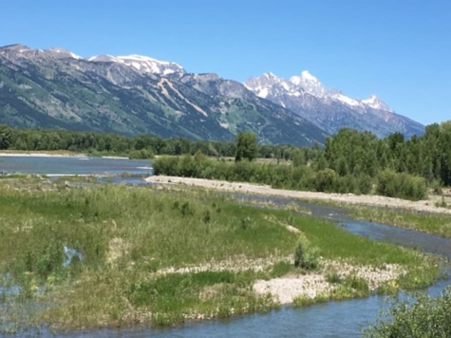 The Setting: World Class Vistas in beautiful Jackson Hole.