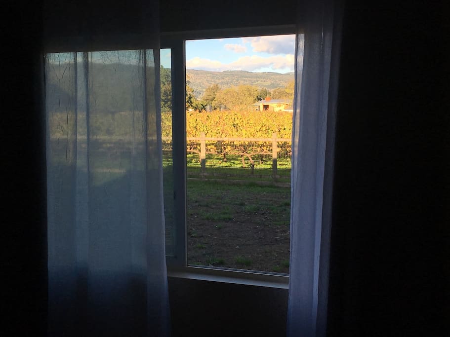 Vineyard room view of private vineyard and the Palisades.