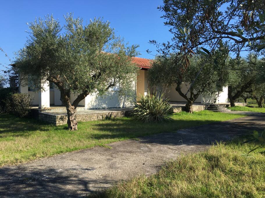 Unforgettable vacation in a olive grove paradise