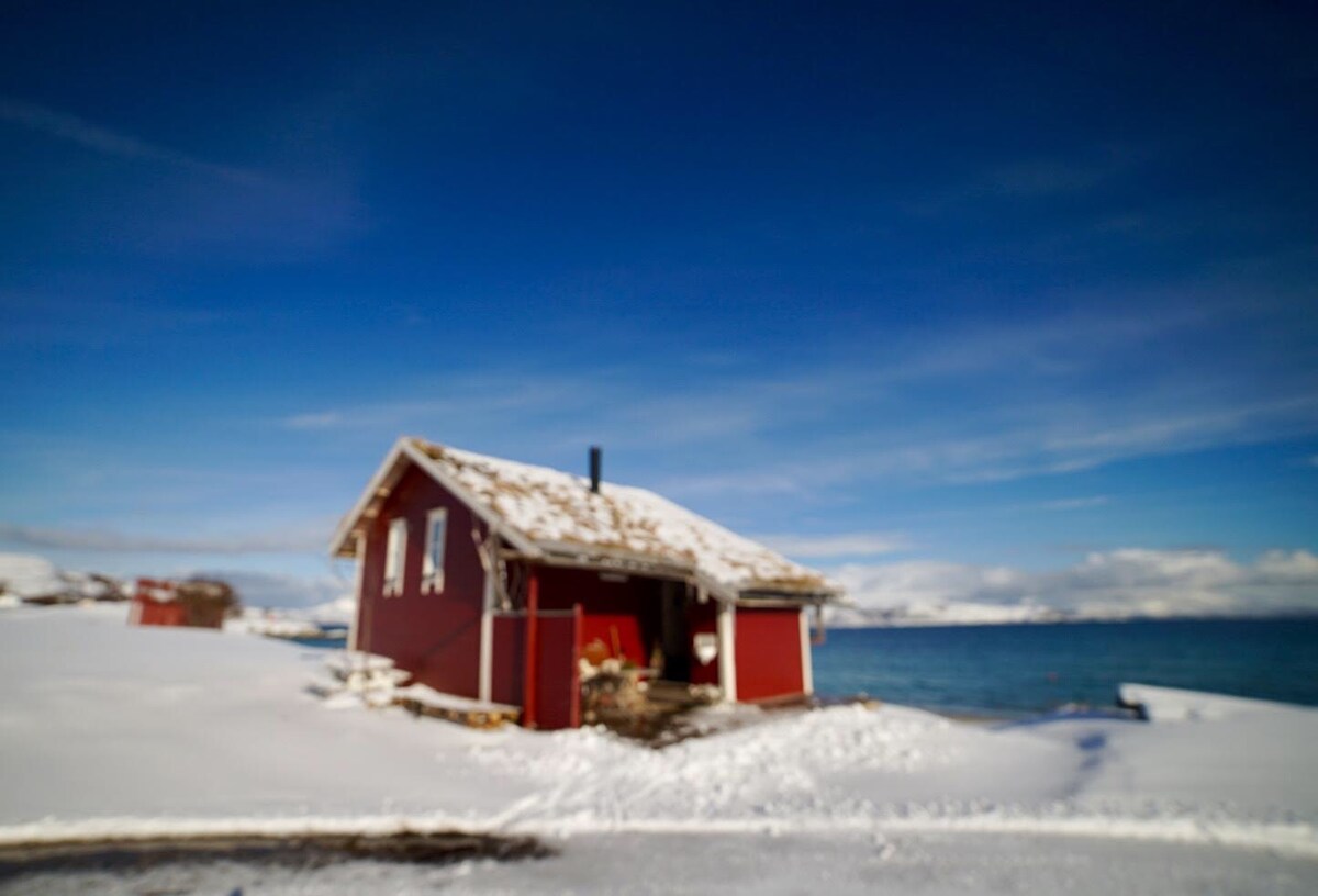A charming red cabin is positioned near the water's edge, surrounded by a blanket of snow. The blue sky complements the scene, while distant mountains are faintly visible, creating a serene winter landscape. Scenic views of the ocean can be observed just beyond the cabin.