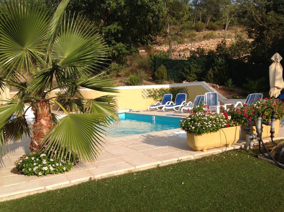 PISCINE ET SES TRANSATS
