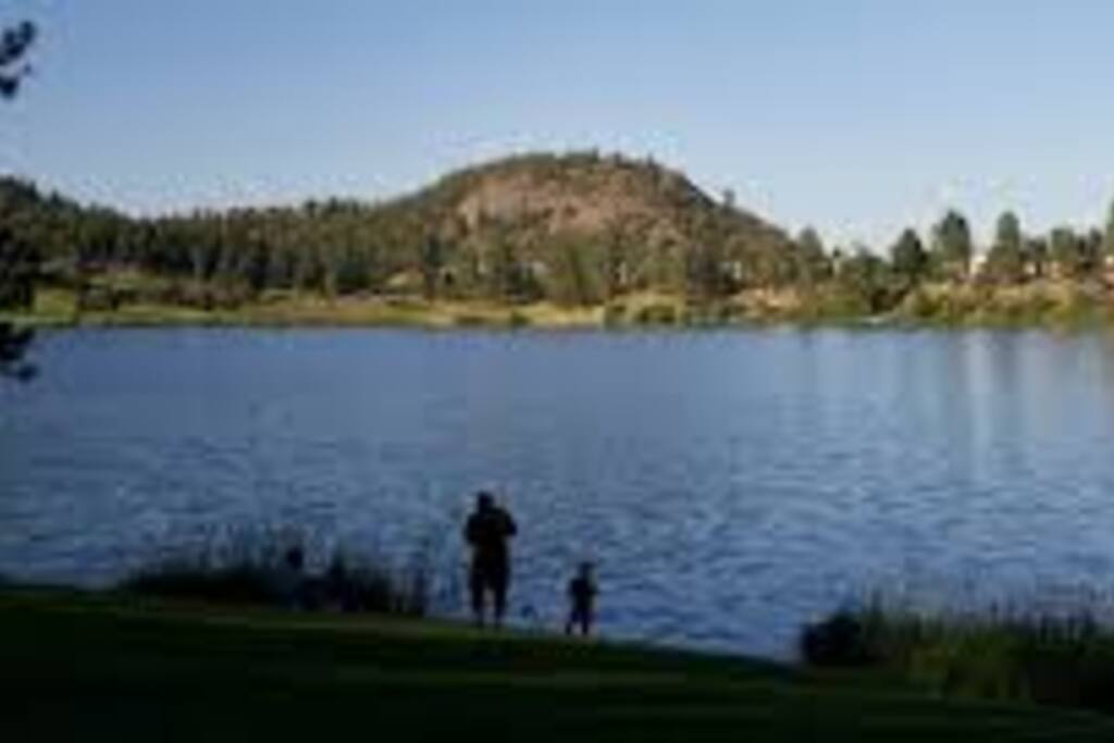 Shannon Lake Fishing
