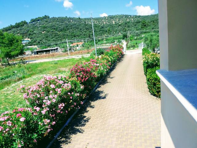 Appartamento estivo per 6 ospiti gallery image 2