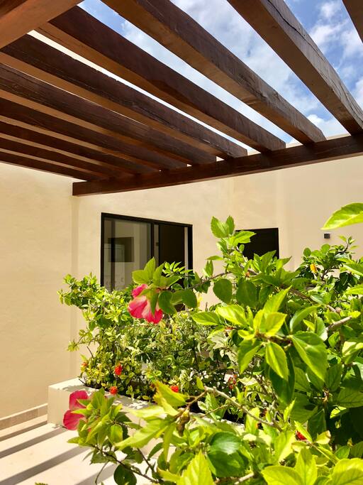 Rooftop Area